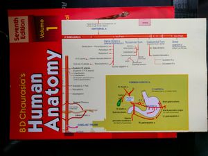 SALE!!!! BD  CHAURASIA Human Anatomy