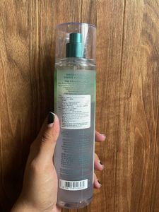 Bath &amp; Body Works - Chasing Fireflies