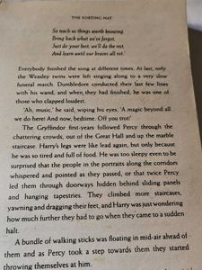 Harry Potter &amp; Philosopher&#39;s Stone