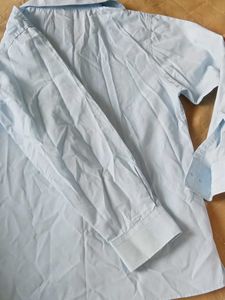 Blue Button-Down Shirt