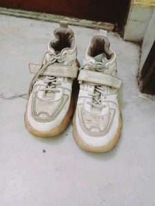 Men Shoe 👞