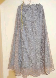 Shimmery Lehenga Choli ☺️✨🎉