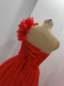 Red organza Gown