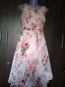 Floral Print Sleeveless Dress