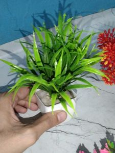 Very Low Price Pack Of 6 Artificial Flowers Plants