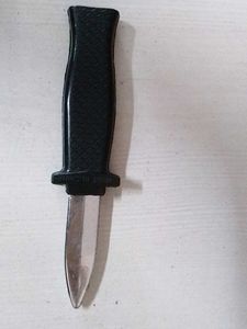 Novelty Dagger