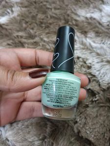 Plum Color Affair Nail Polish