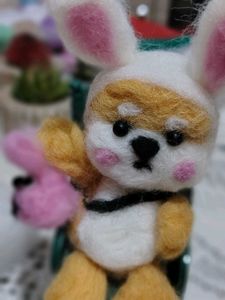 Miniature Rabbit Inu Shibuya