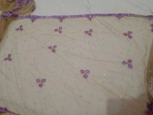 Elegant Beige Net Saree