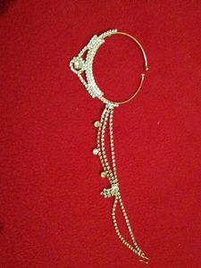 Ad Nose Ring