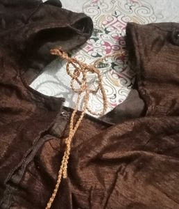 Brown Embroidered Saree With Designer Blouse