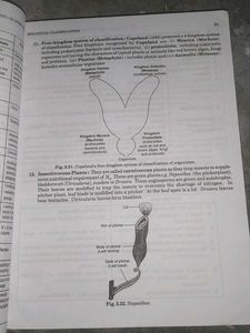 Senior School Biology XI