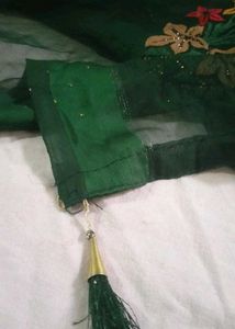 Green Embroidered Saree