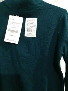 semi turtle neck top