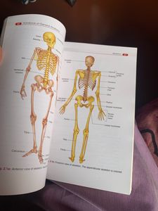 General Anatomy.MBBS Text