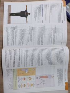 Clinical Embryology Textbook- vishram singh