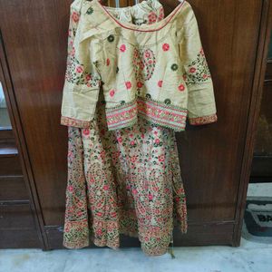 Embroidered Lehenga Choli
