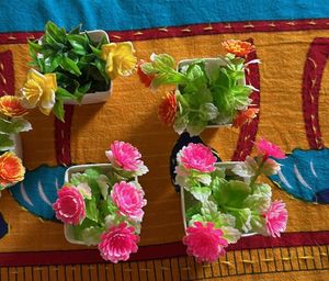 5 Plants