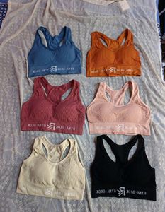 New Padded Sports Bra (Women&#39;s)