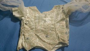 Elegant Embellished Lehnga Choli