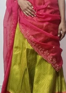 Elegant Lehenga Choli