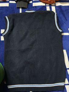 Vintage Sleeveless Knit Sweater Vest