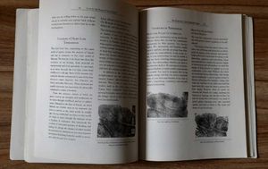 Book - Love In The Palm Of Your Hand
