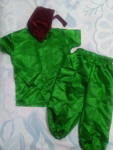 Peter Pan Cum Alladin Outfit for Fancy Dress