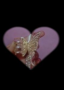 Korean Hair Butterfly 🦋