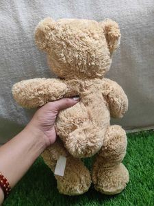 Teddy