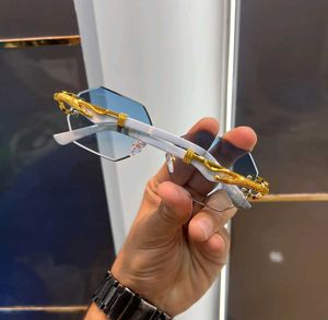 Cartier Sunglasses Honey Singh Edition