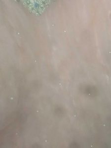 Embroidered Ethnic Fabric