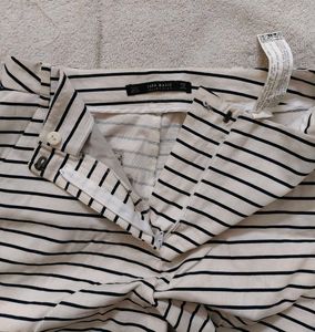 Zara Shorts