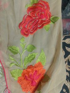 2 Kurti Embroidered Beautiful Golden And Fulkari