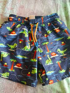 Cute Dino Swim Shorts