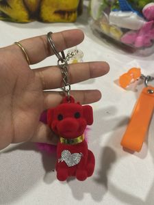Combo Of 4 Key Rings