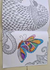 coloring Book