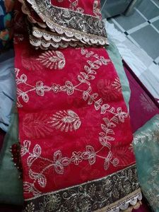 Beautiful Pakistani Suit