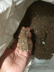 Brand New Compost Soil Good For Plants