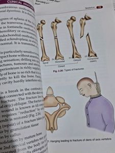 General Anatomy Handbook