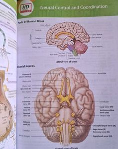 NCERT Biology Class XI-XII