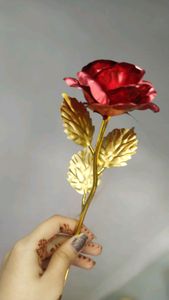 24k gold plated red rose