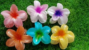 Floral Design Hair Clips