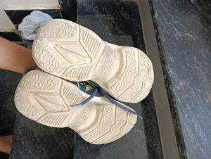 Campus Shooes