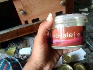 Collection Of Different Colour Paints..🎨🖌️