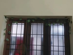 Artificial Money Plant