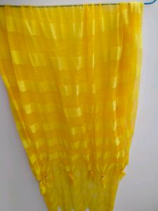 Net Designer Dupatta