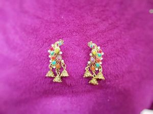 Multicolored Ear Rings