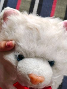 Cat Soft Toy 🐱