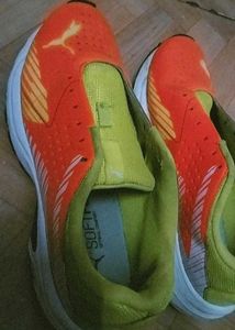 Puma Sport Shoes